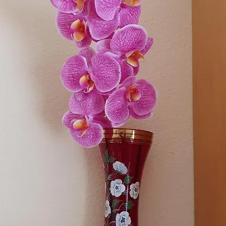 Gemuetliche In Appartamento *